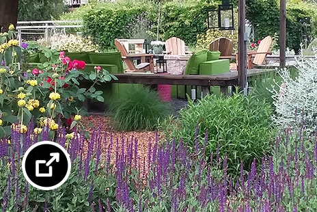 Backyard seating area with landscaped garden 